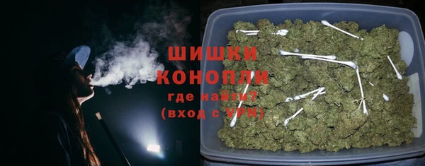 PSILOCYBIN Богородск